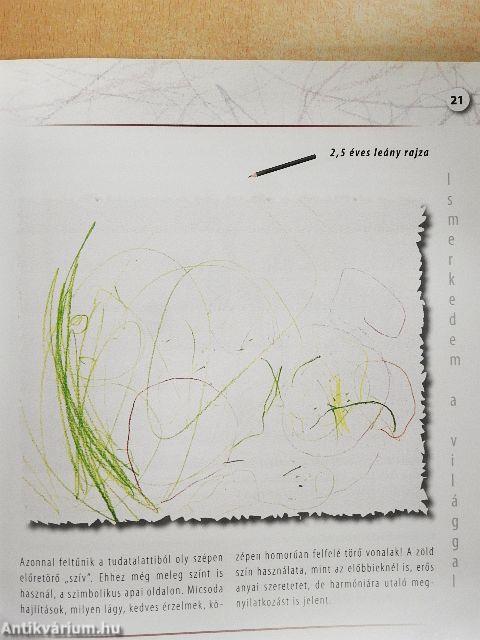 Népszerű grafológia