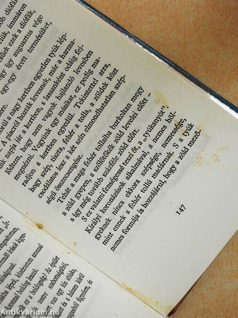 Egy festő feljegyzései