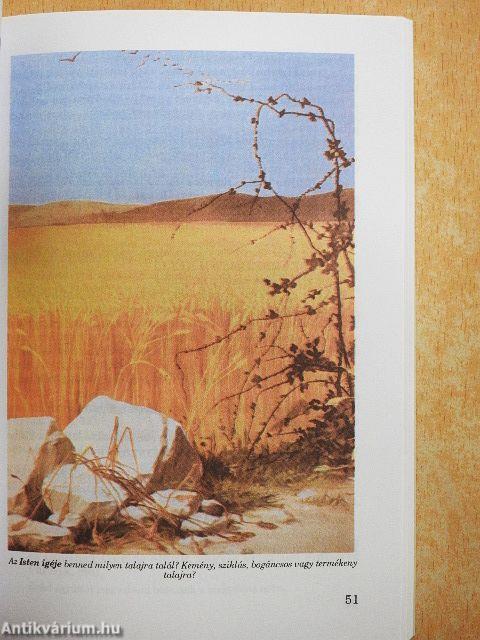 "Aki hisz, üdvözül!"