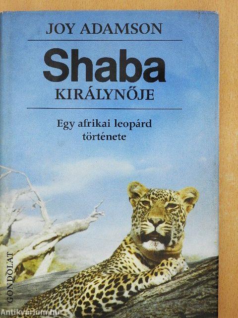 Shaba királynője