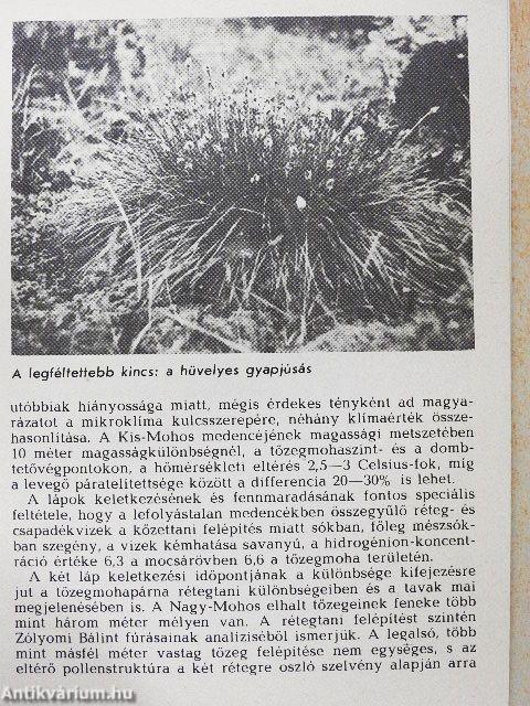 Kelemér - Mohos-tavak