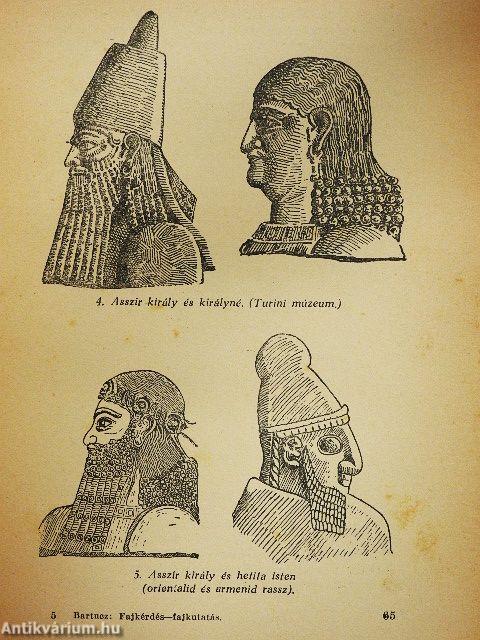 Fajkérdés-fajkutatás