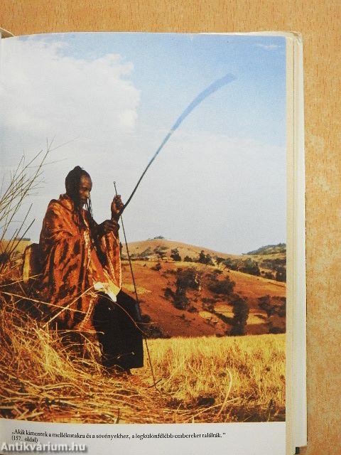 Krisztus példázatai