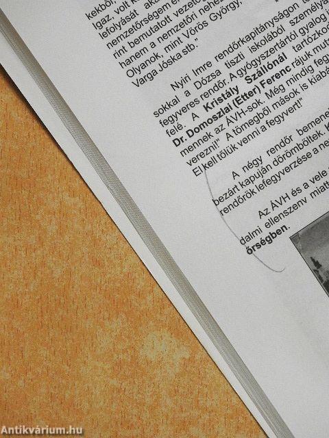A forradalom tatai krónikája