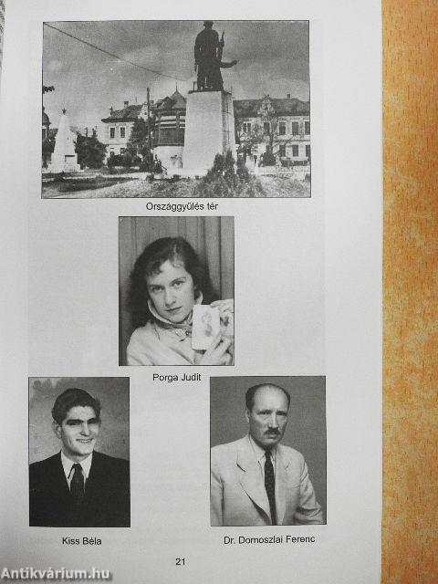 A forradalom tatai krónikája