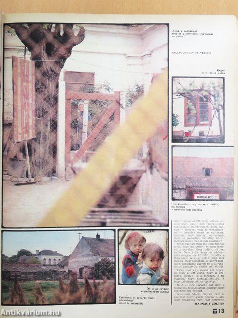 Új Tükör 1980. (nem teljes évfolyam)