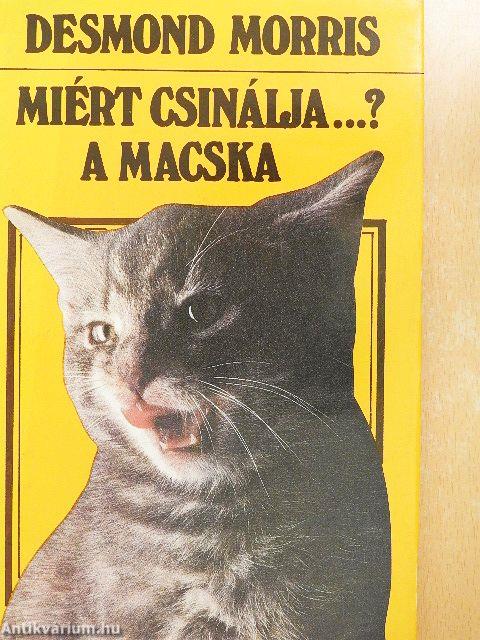Miért csinálja...? A macska