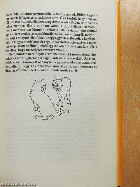 Miért csinálja...? A macska