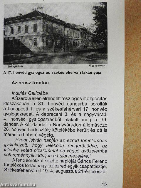 17-es székesfehérvári honvédek a Doberdón