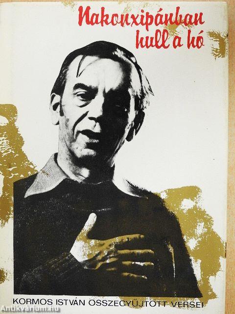 Nakonxipánban hull a hó