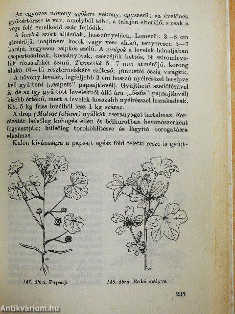 Gyógyító növények