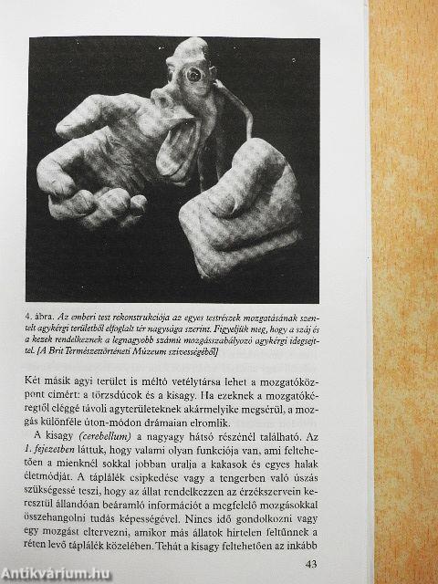 Utazás az agy körül