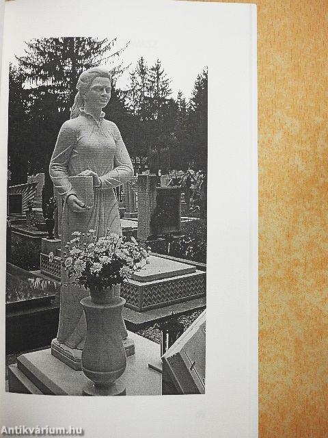 A vándorzenész arca