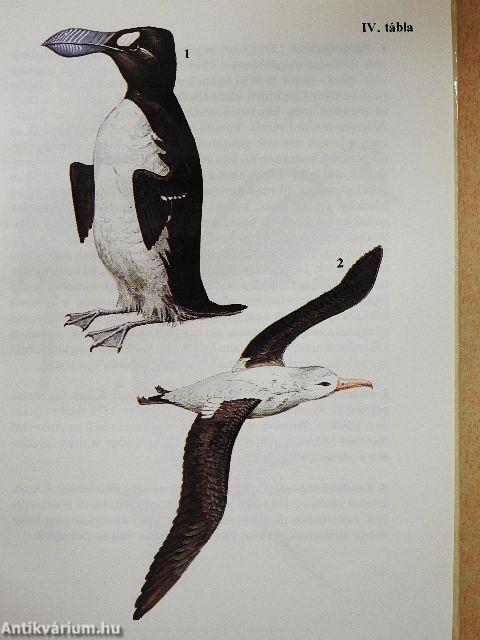 Egyszervolt állatok