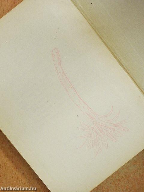 Matematikai játékok