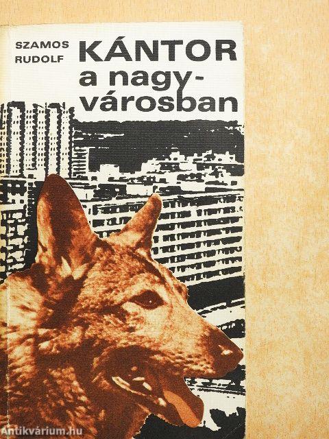 Kántor a nagyvárosban