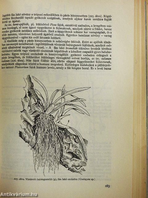 A növények világa I.