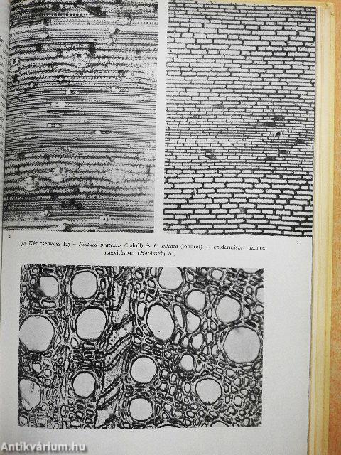 A növények világa I.