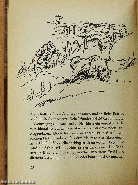 Im Reich der weißen Wölfe