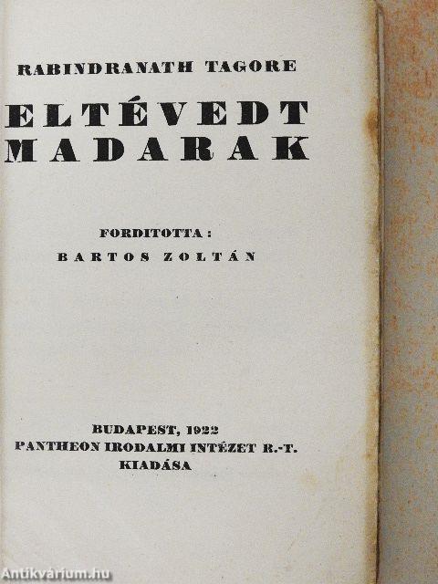 Eltévedt madarak