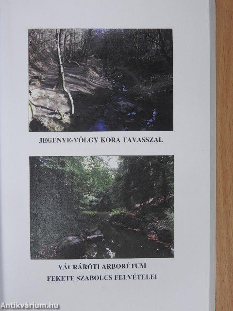 Kláris antológia '22