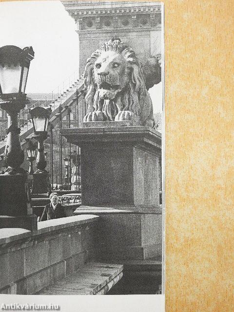 Die Brücken der Donau