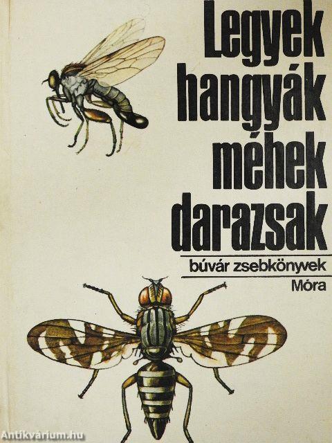 Legyek, hangyák, méhek, darazsak