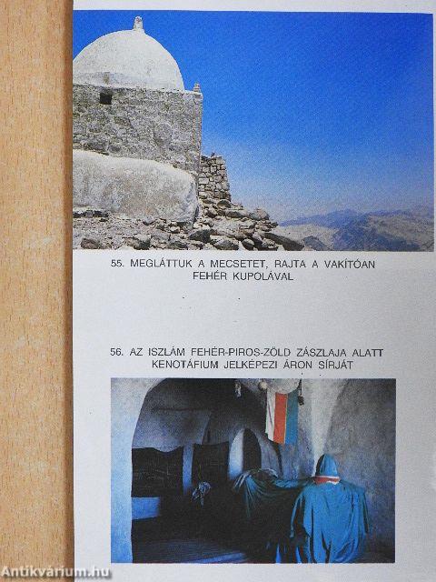 Istenek ivadékai vagyunk
