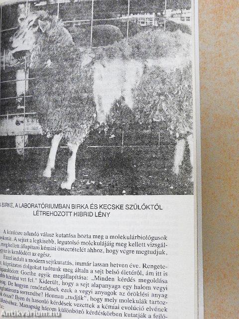 Istenek ivadékai vagyunk
