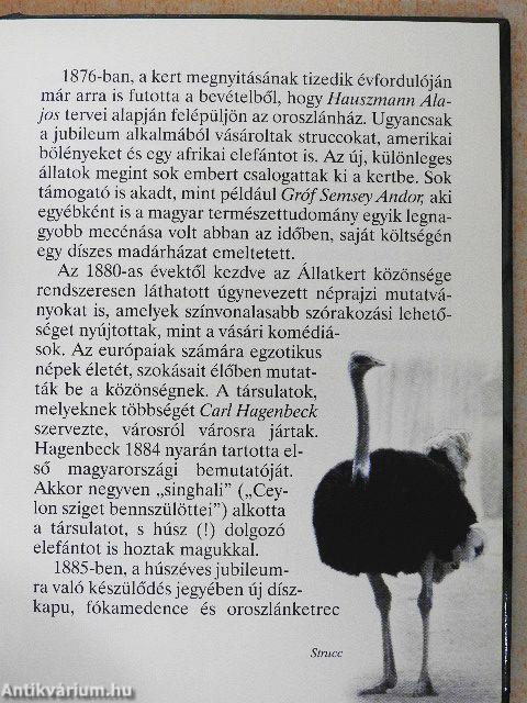 Állatkerti körséta