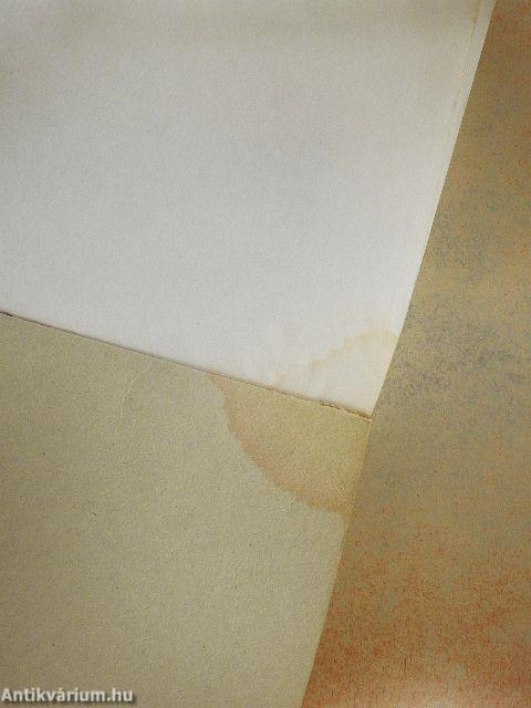 Életerő-életstílus