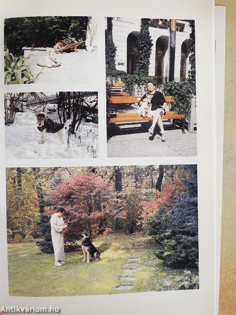 Angol nyelv közép- és felsőfokon