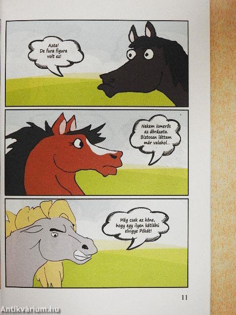 Tapsi Lóbarátok 2016/2.