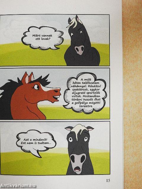 Tapsi Lóbarátok 2016/2.