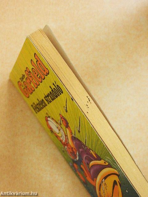 Féktelen strandoló