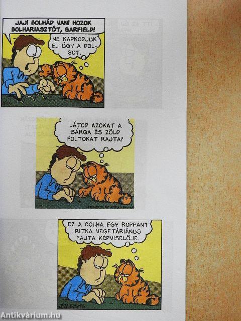 A mosolygó macska mindig gyanús