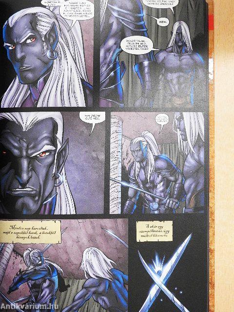 Drizzt legendája: Otthon