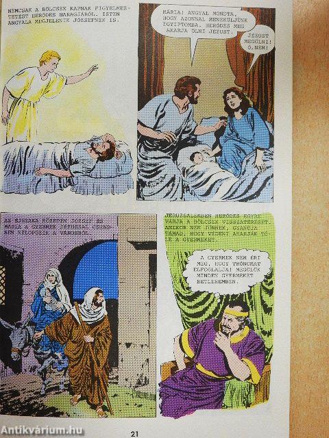 Új Testamentum - Képes Biblia