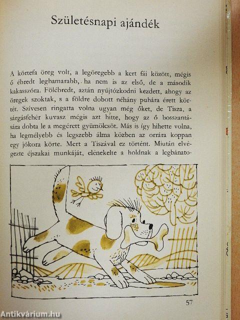 Mese a kiscsikóról és sok más barátunkról