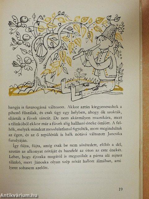 Mese a kiscsikóról és sok más barátunkról