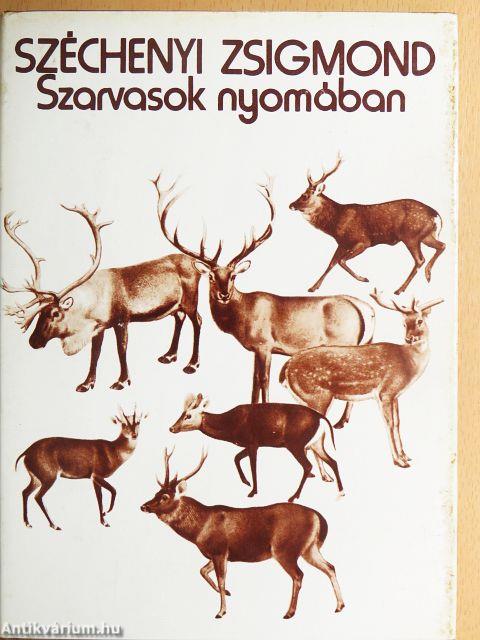 Szarvasok nyomában