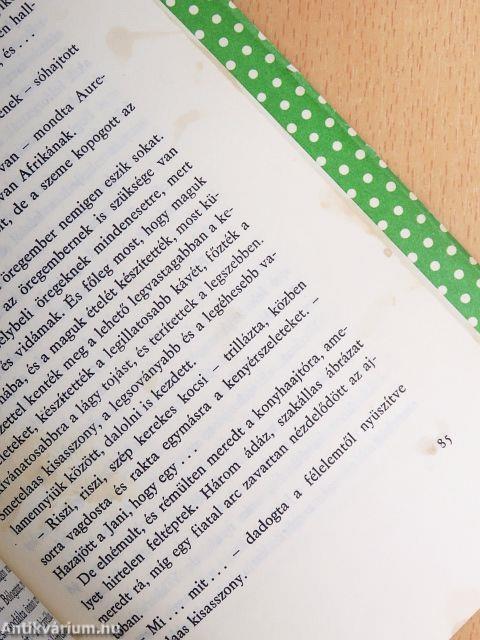 Kriszti és azok a furcsa haramiák