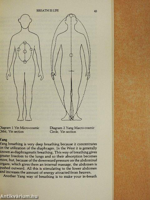 Taoist Yoga