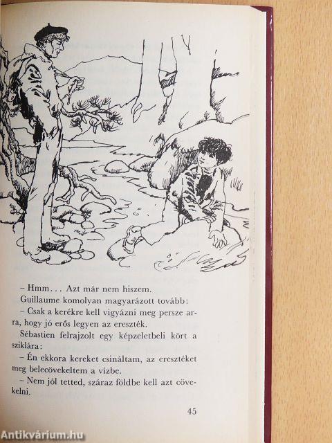 Belle és Sébastien