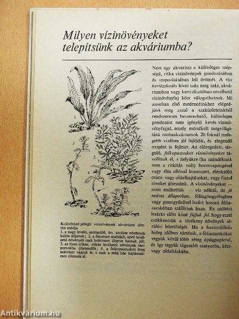 Állatkedvelők kézikönyve