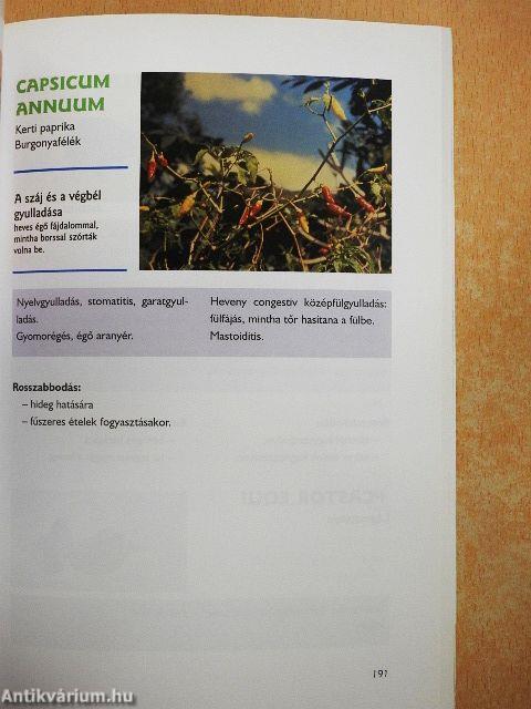 Homeopátia a mindennapi gyakorlatban