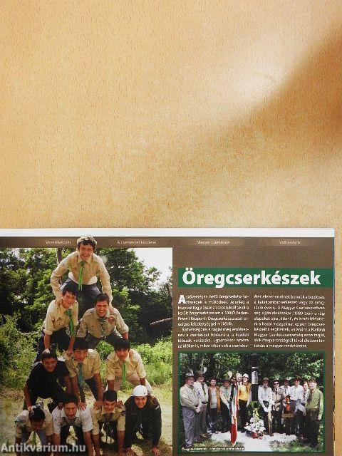 Mi fán terem... a cserkészet?