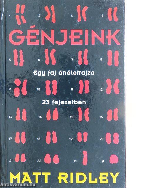 Génjeink
