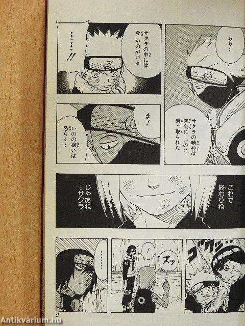 Naruto 9.