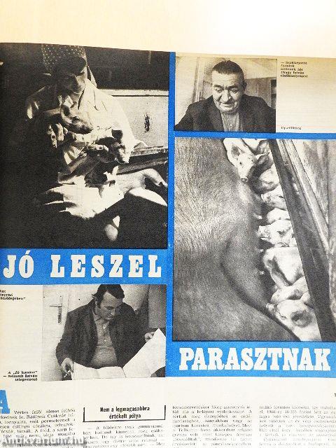 Nők Lapja 1975. (nem teljes évfolyam) 